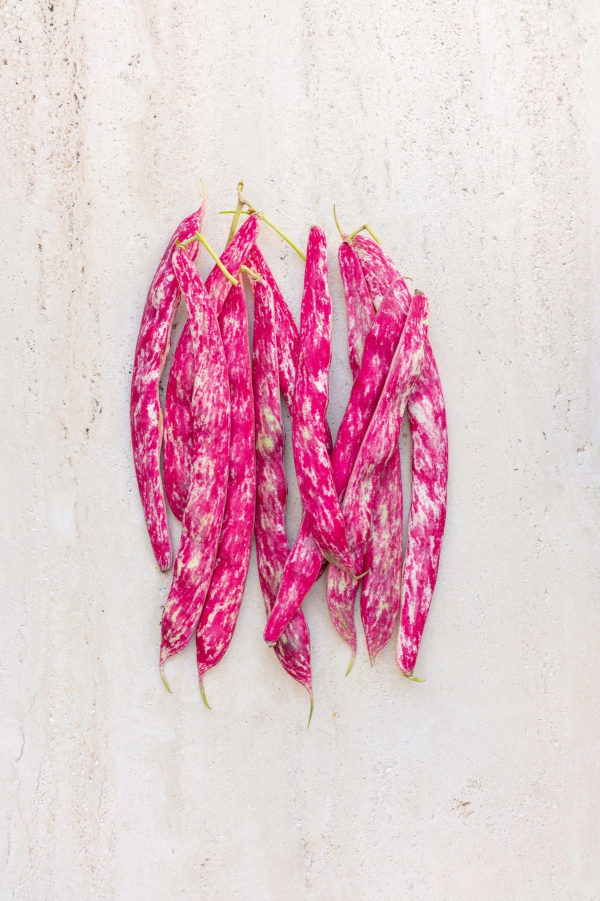 Borlotti