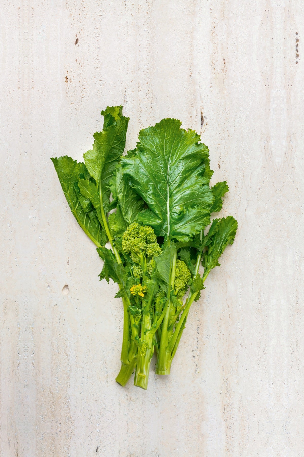 Cima di Rapa