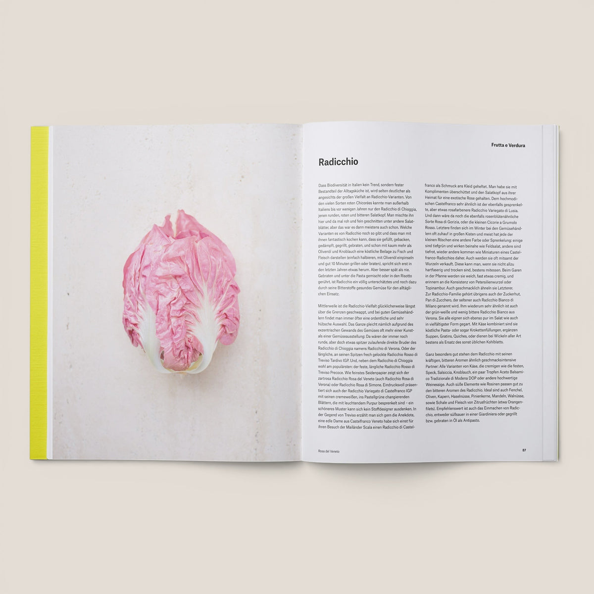 Kochbuch SPLENDIDO II