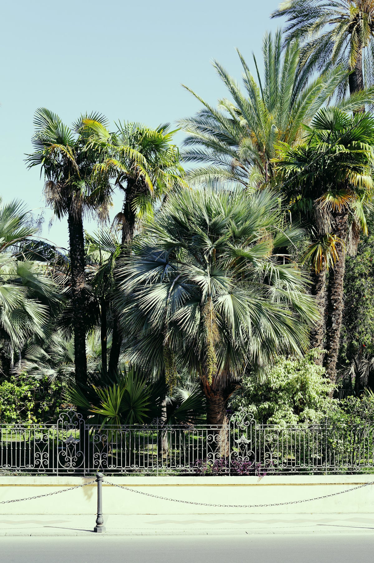 Giardino