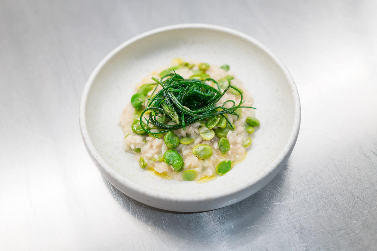 Risotto mit Favabohnen und Mönchsbart