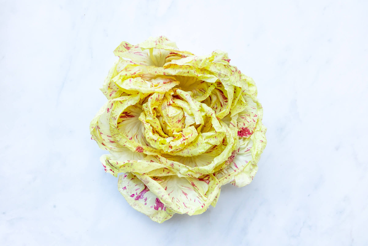 Radicchio di Castelfranco