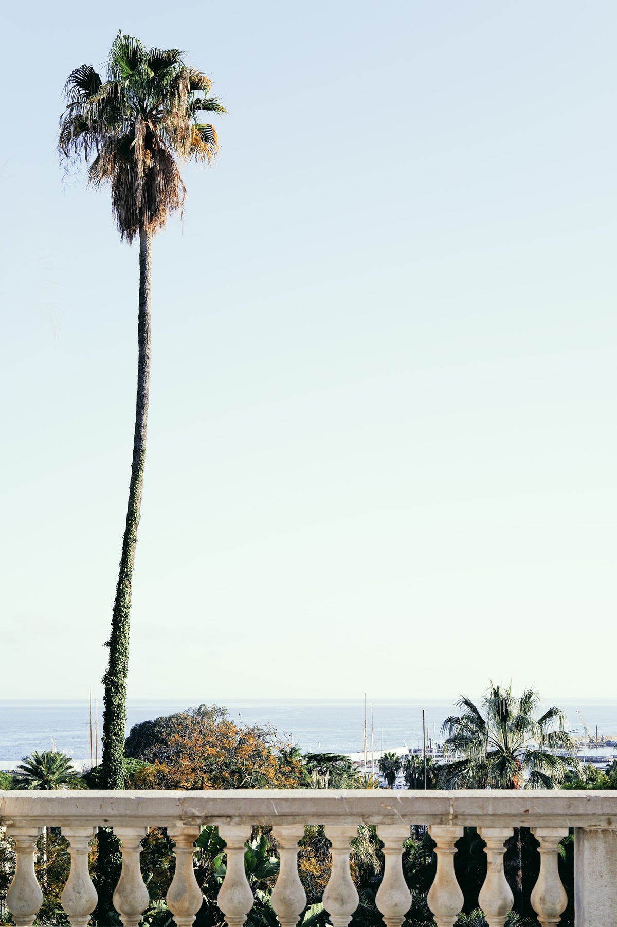 Vista