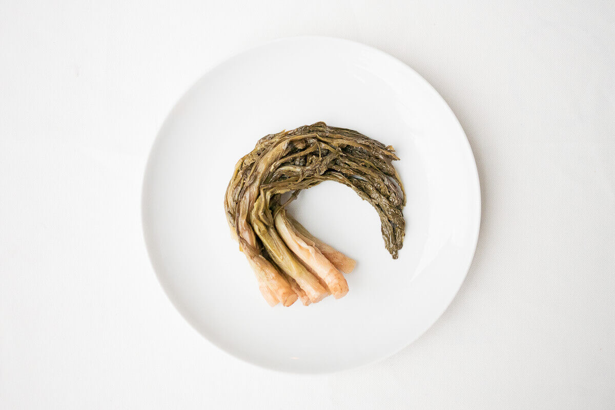 Radicchio dell'orso