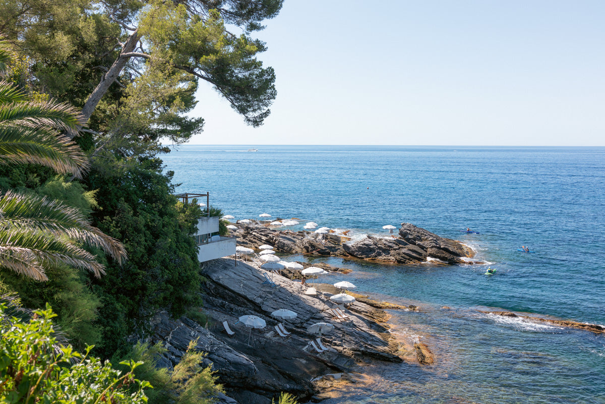 Scogliera