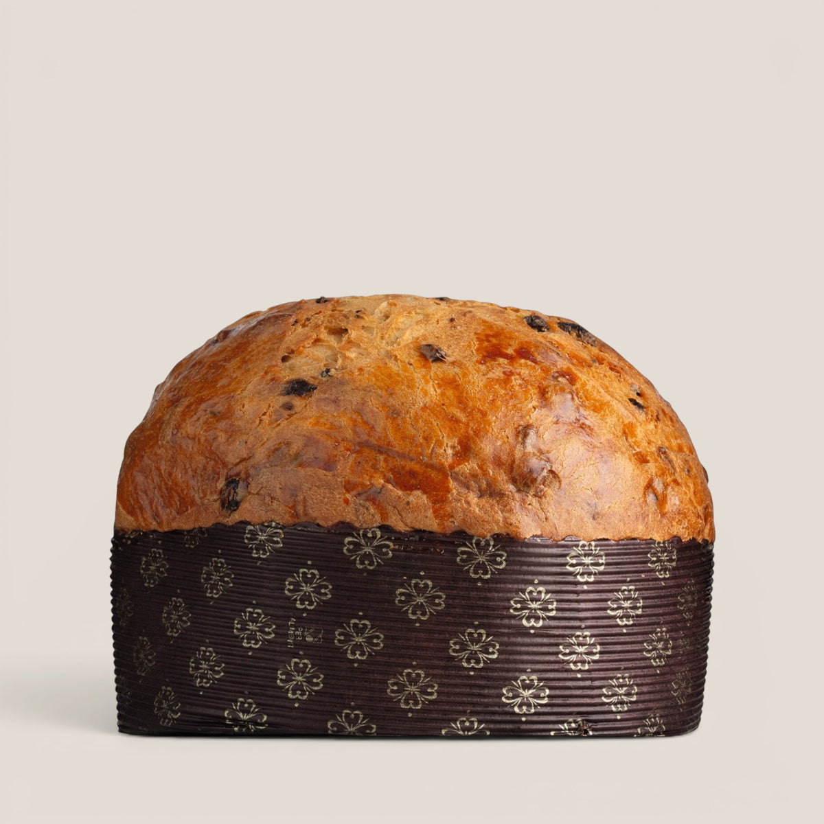SPLENDIDO Savory Panettone mit Tomate, Basilikum und Oregano, herzhaftes Gebäck für Aperitivo und Picknick